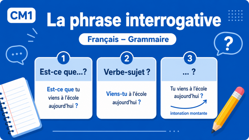 La phrase interrogative – CM1