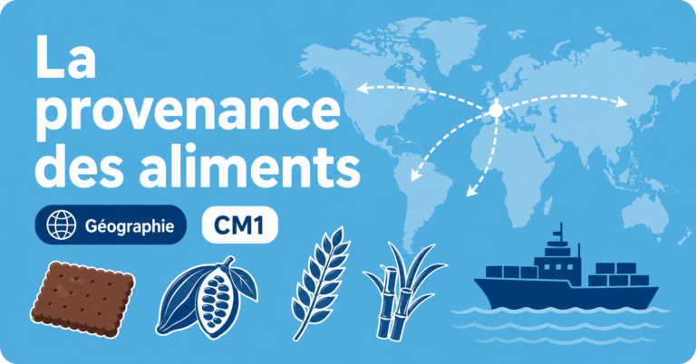Illustration sur la provenance des aliments en géographie CM1, avec biscuit, cacao, blé et bateau.